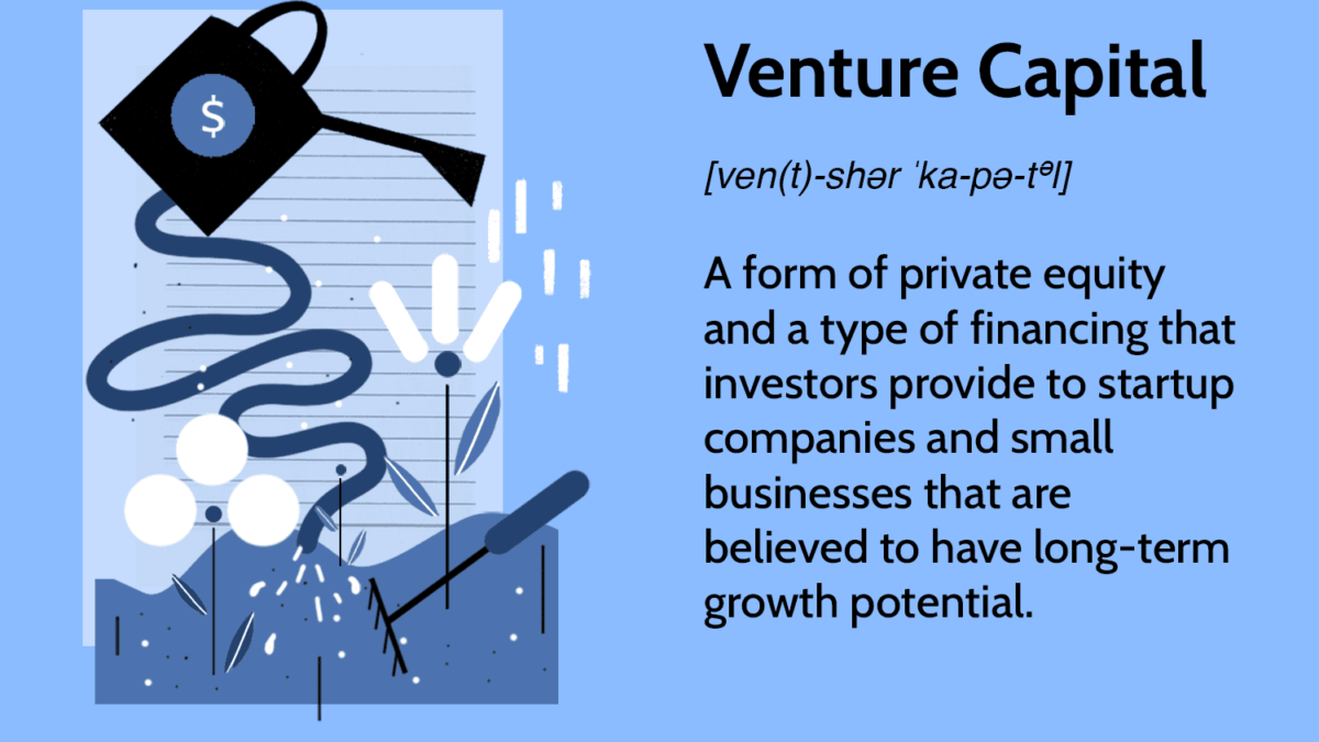 Venture capital (VC)